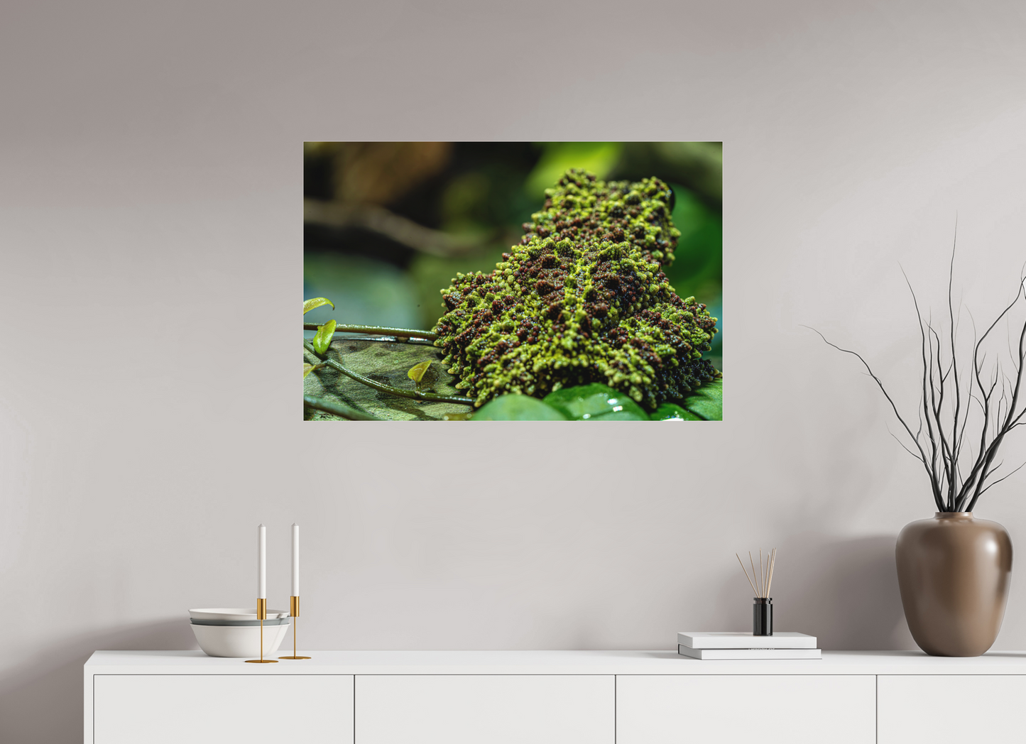 90 x 60 cm, Fine Art hinter Acrylglas Theloderma corticale – Edition No. 02
