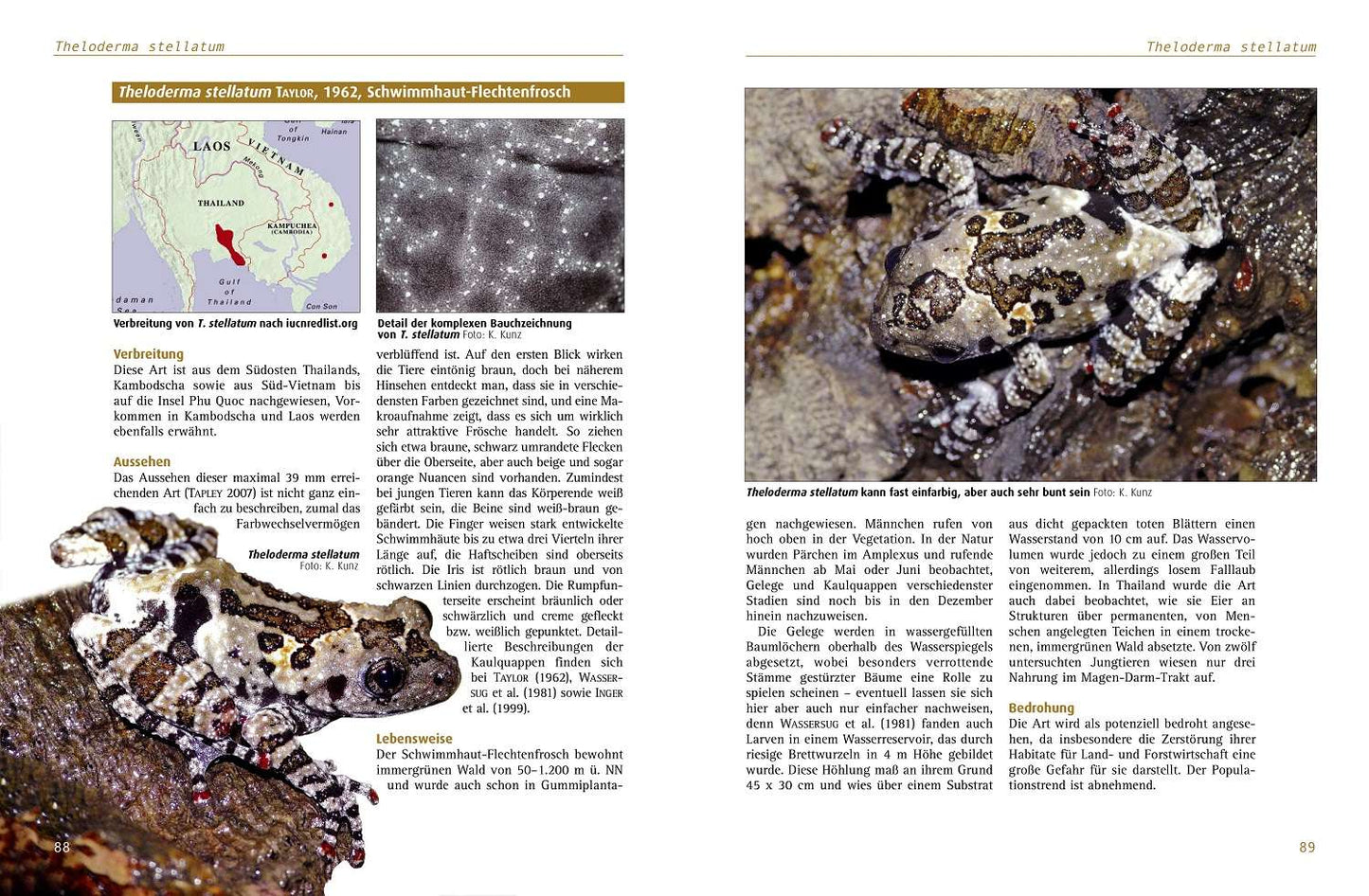 Moosfrösche - Die Gattung Theloderma