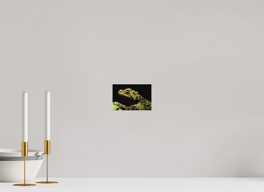 15 x 10 cm, Fine Art Print – Ohne Rand Theloderma corticale – Edition No. 01