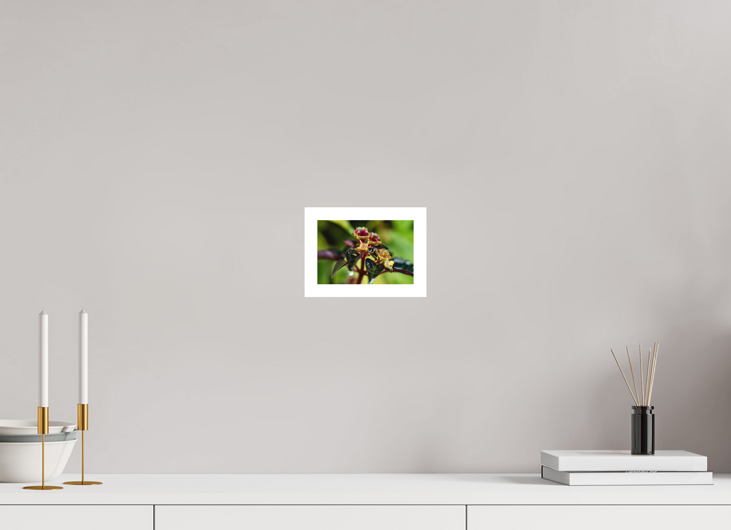 15 x 10 cm, Fine Art Print – Mit Weißrand Sarcopyramis sp. Sumatra – Edition No. 01