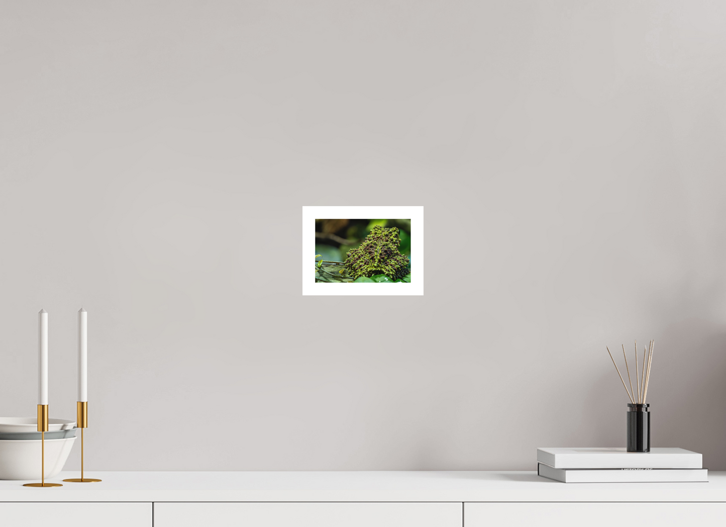 15 x 10 cm, Fine Art Print – Mit Weißrand Theloderma corticale – Edition No. 02