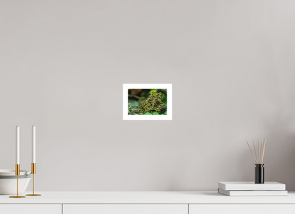 15 x 10 cm, Fine Art Print – Mit Weißrand Theloderma corticale – Edition No. 02