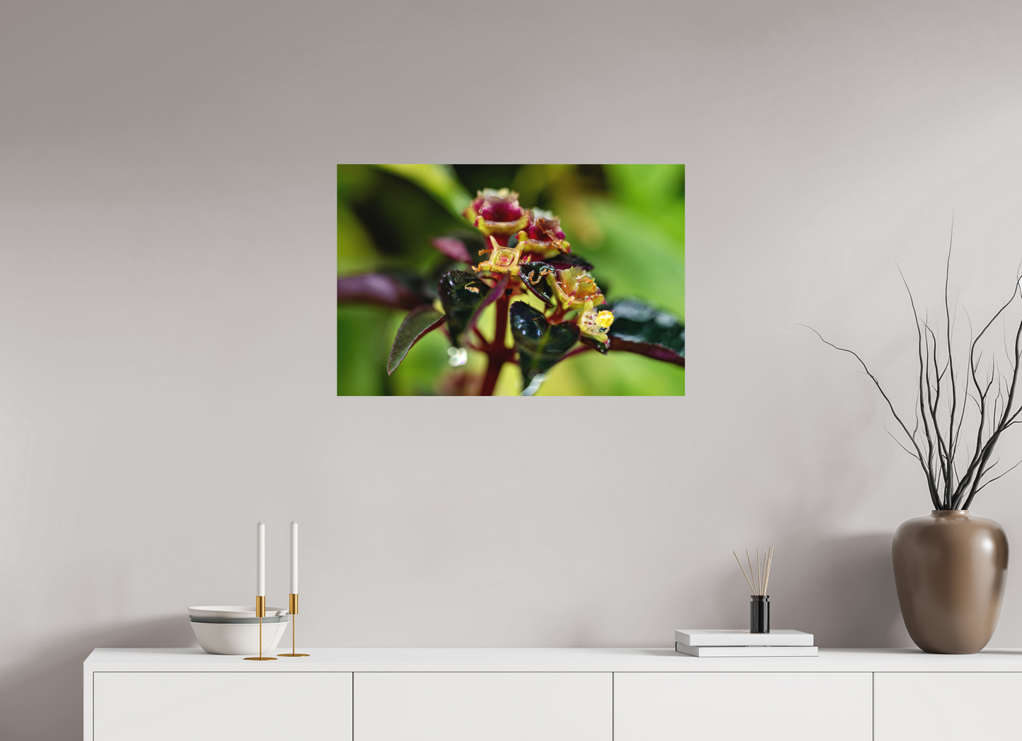 75 x 50 cm, Fine Art auf Alu-Dibond Sarcopyramis sp. Sumatra – Edition No. 01