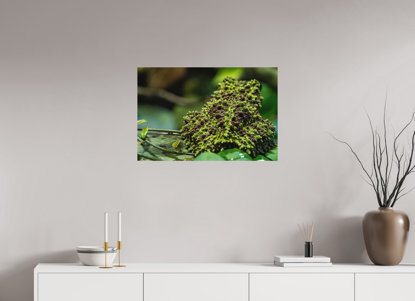 75 x 50 cm, Fine Art Print – Ohne Rand Theloderma corticale – Edition No. 02