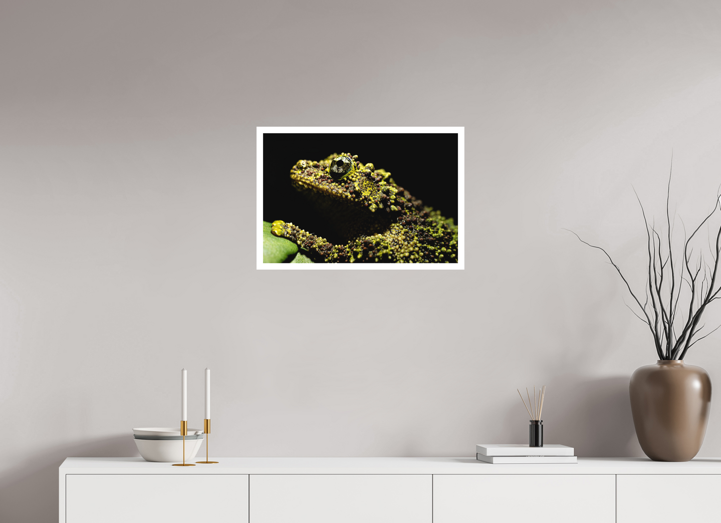 60 x 40 cm, Fine Art (mit 2cm Rand) Theloderma corticale – Edition No. 01