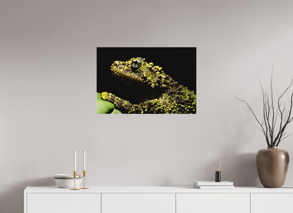 75 x 50 cm, Fine Art hinter Acrylglas Theloderma corticale – Edition No. 01