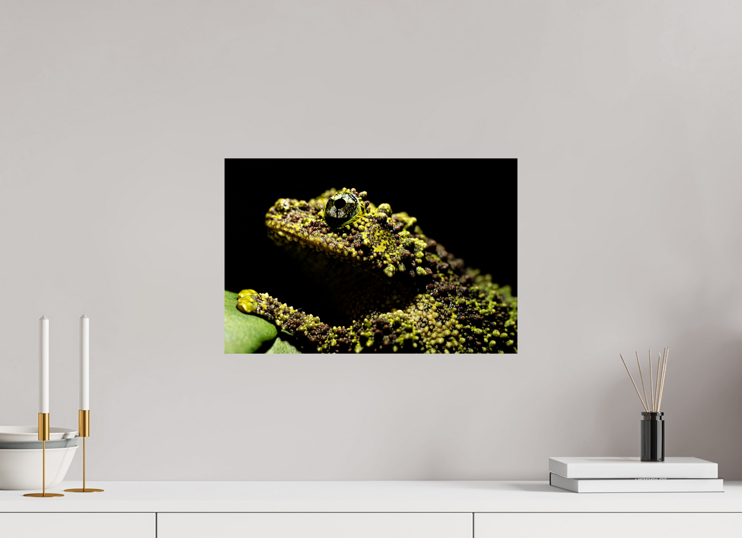 45 x 30 cm, Fine Art Print – Randlos (glanz) Theloderma corticale – Edition No. 01