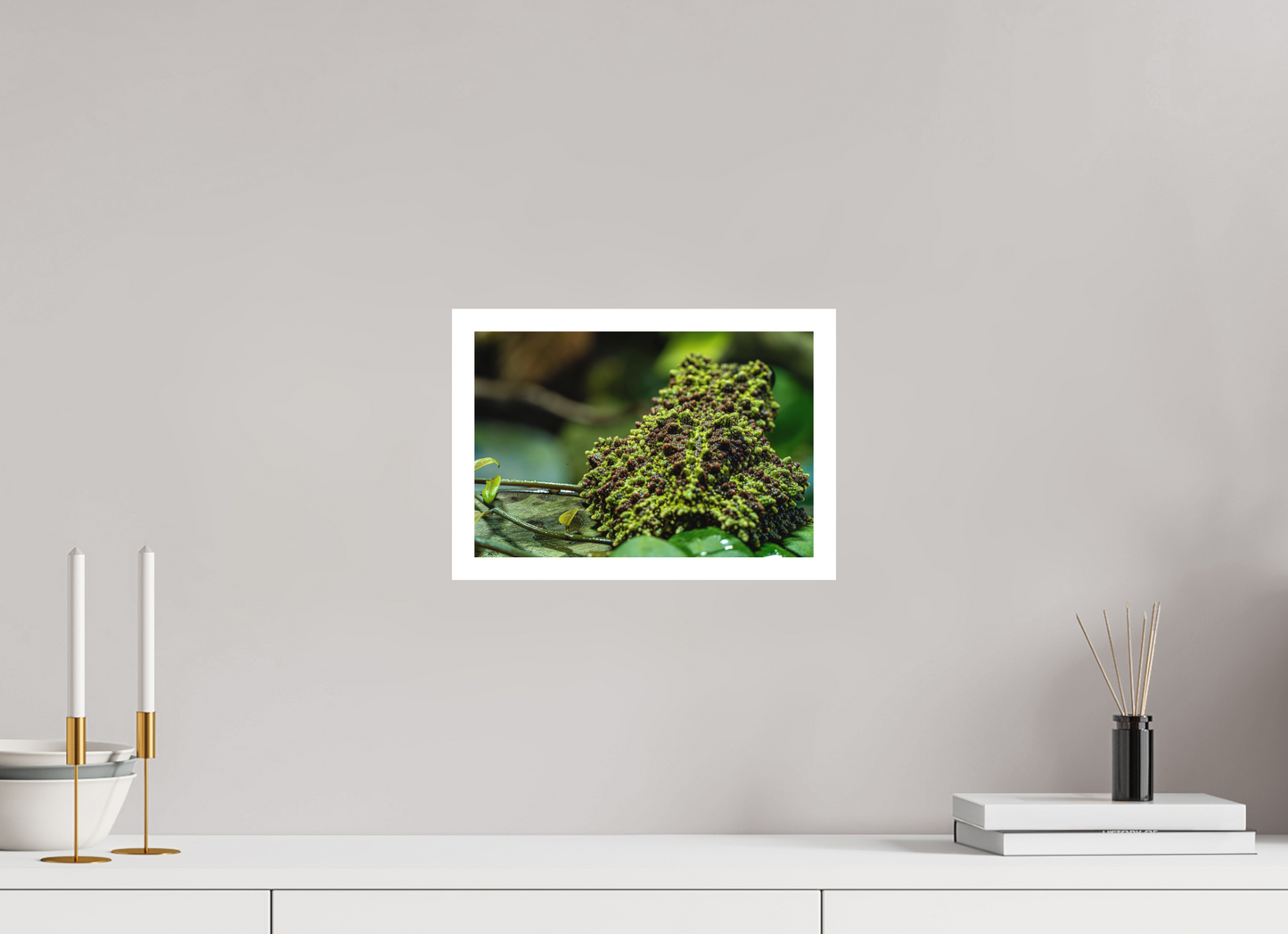 30 x 20 cm, Fine Art Print – Mit Weißrand Theloderma corticale – Edition No. 02