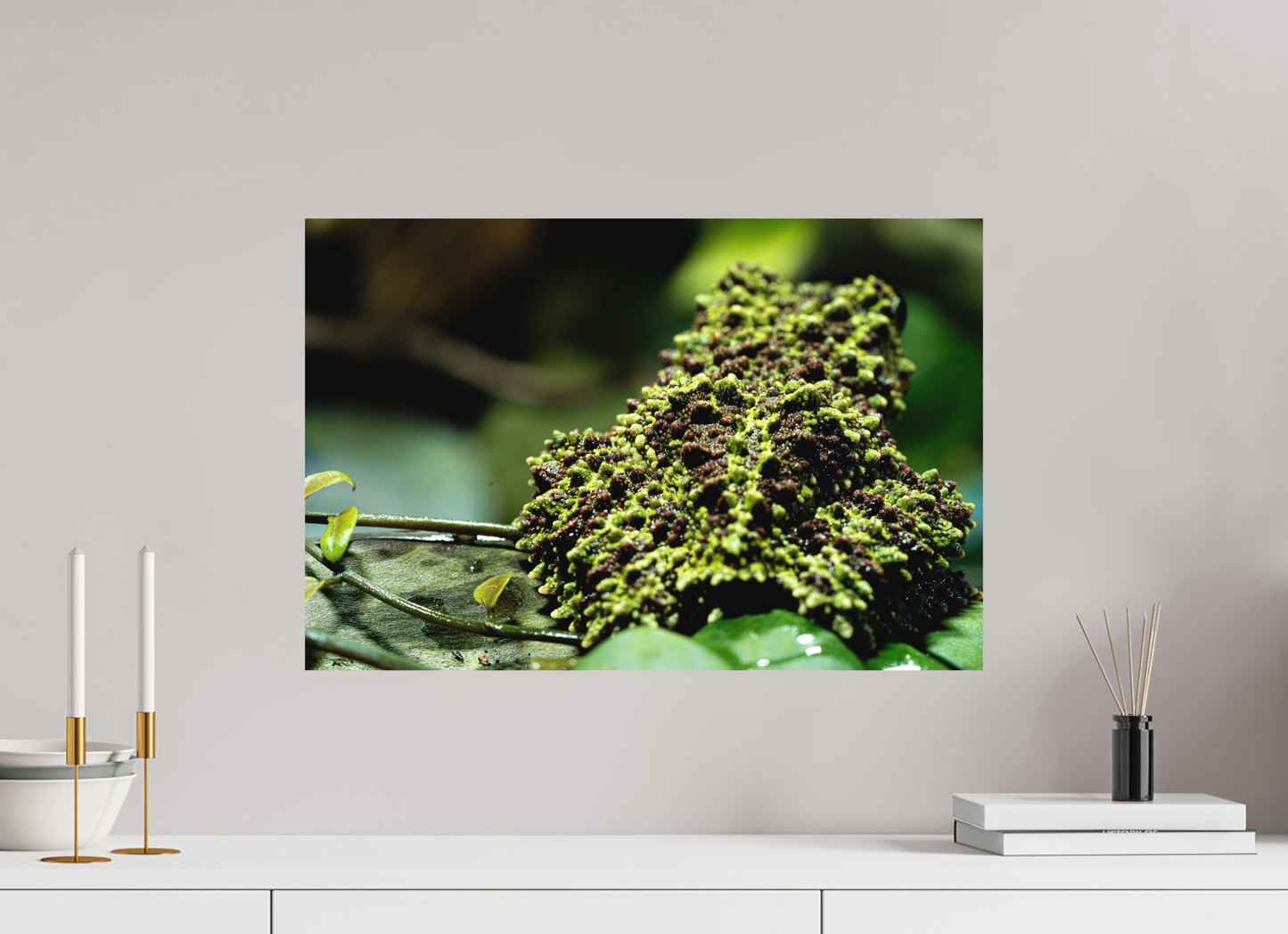 60 x 40 cm, Fine Art Print – Randlos (matt) Theloderma corticale – Edition No. 02