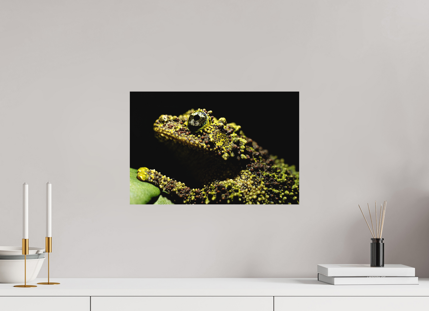 45 x 30 cm, Fine Art Print – Randlos Theloderma corticale – Study No. 01