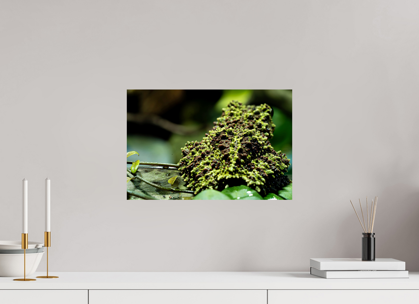 45 x 30 cm, Fine Art Print – Randlos (glanz) Theloderma corticale – Edition No. 02