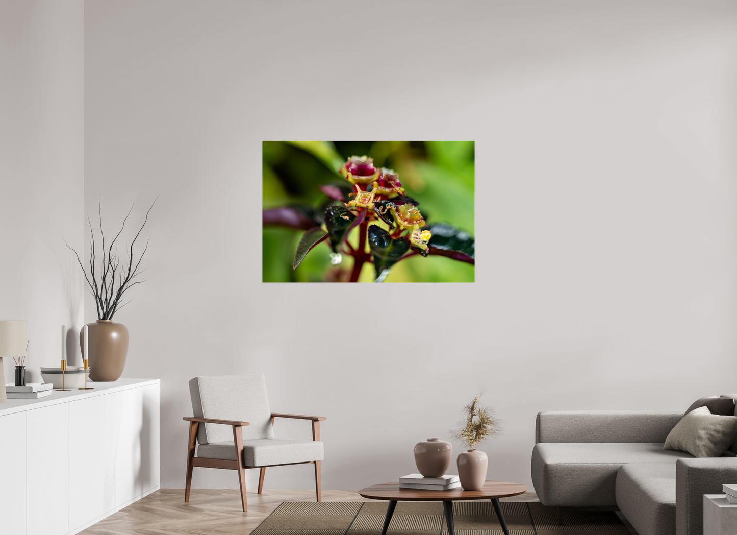 120 x 80 cm, Gallery Edition – Acrylglas Sarcopyramis sp. Sumatra – Edition No. 01