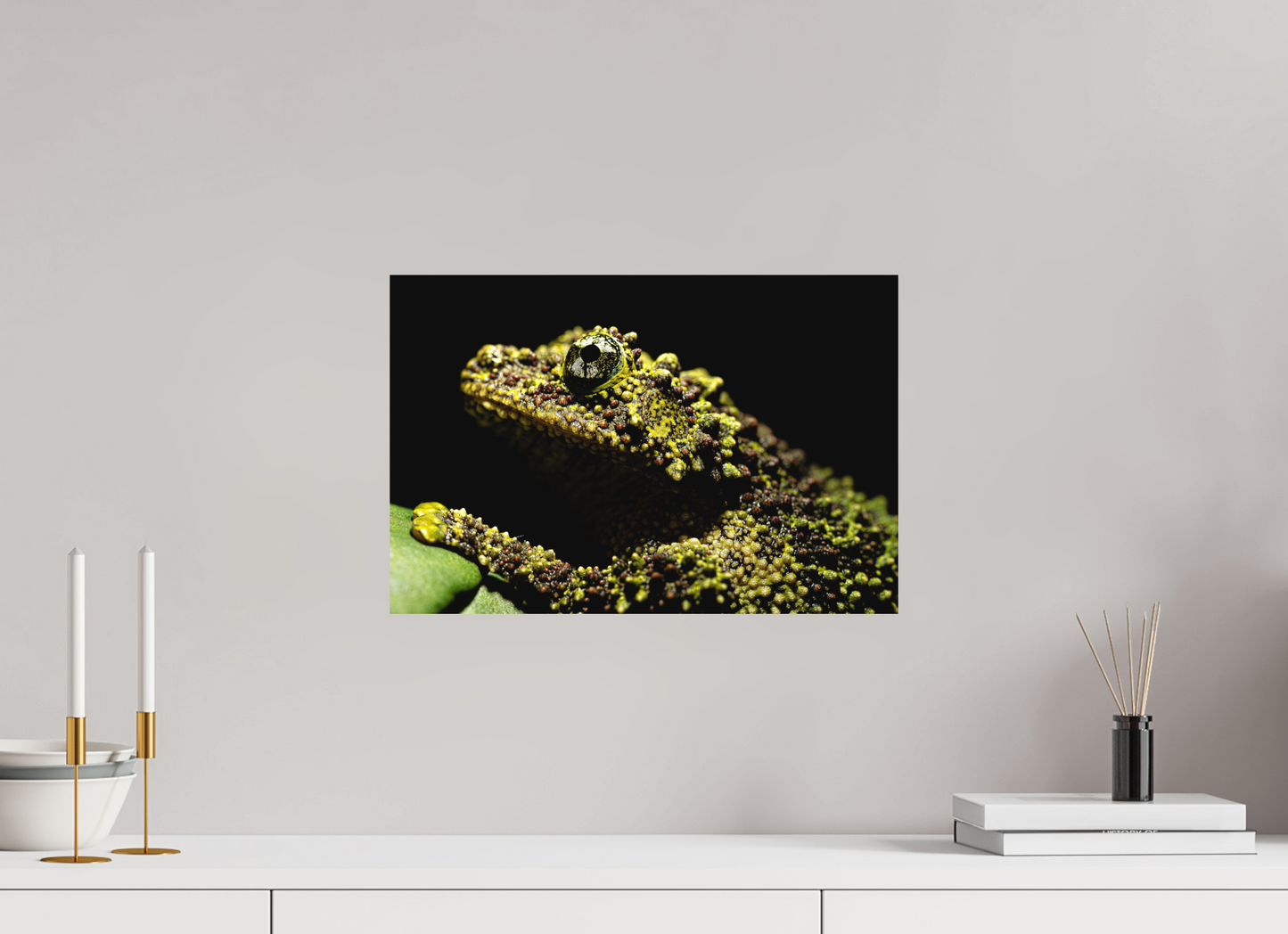 45 x 30 cm, Fine Art Print – Ohne Rand Theloderma corticale – Edition No. 01