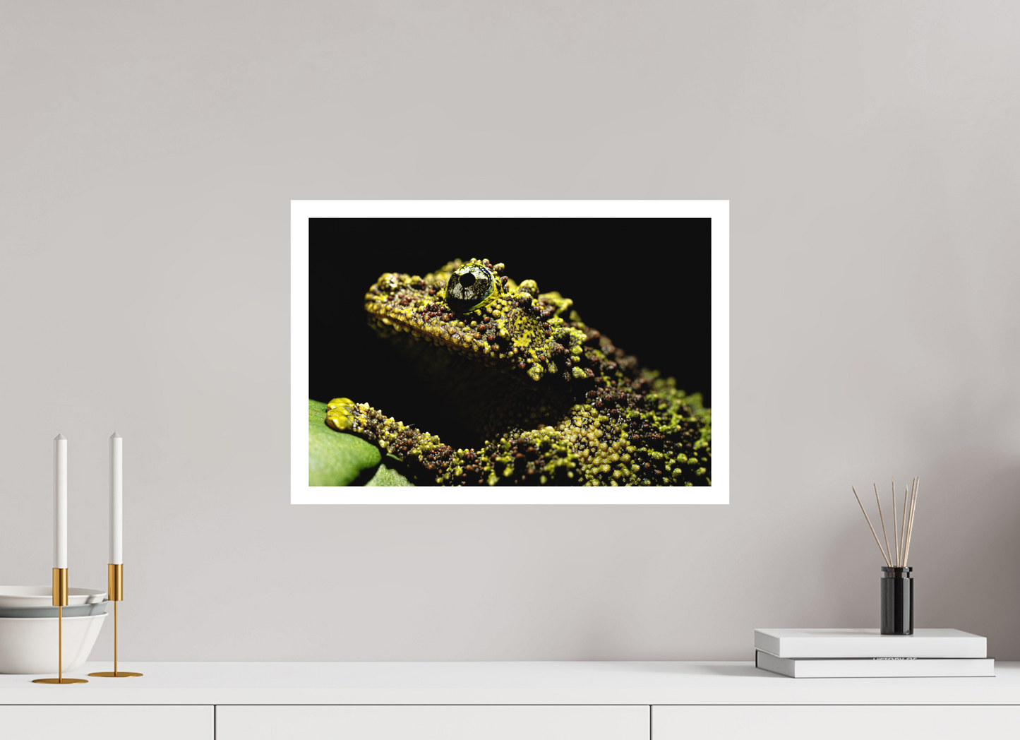 45 x 30 cm, Fine Art (mit 2cm Rand) Theloderma corticale – Edition No. 01