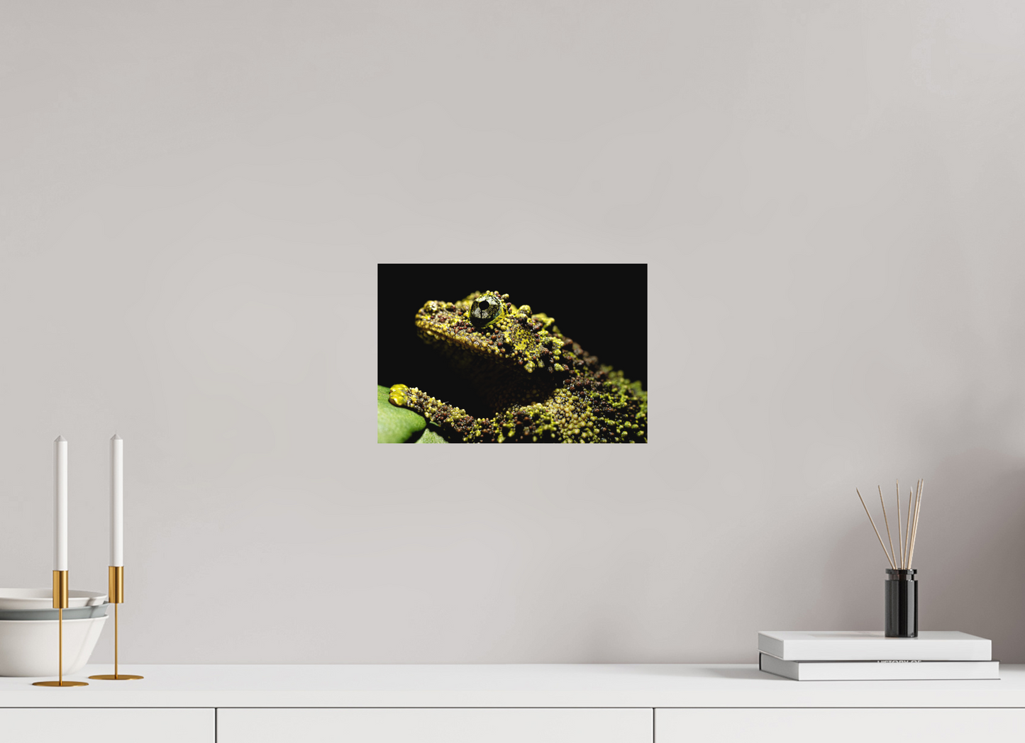 30 x 20 cm, Fine Art Print – Ohne Rand Theloderma corticale – Edition No. 01