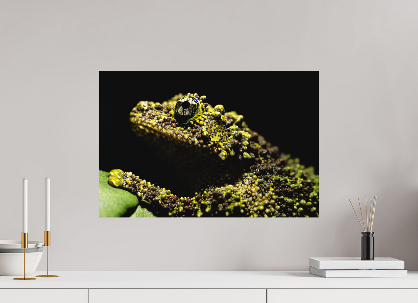 60 x 40 cm, Fine Art Print – Randlos Theloderma corticale – Study No. 01