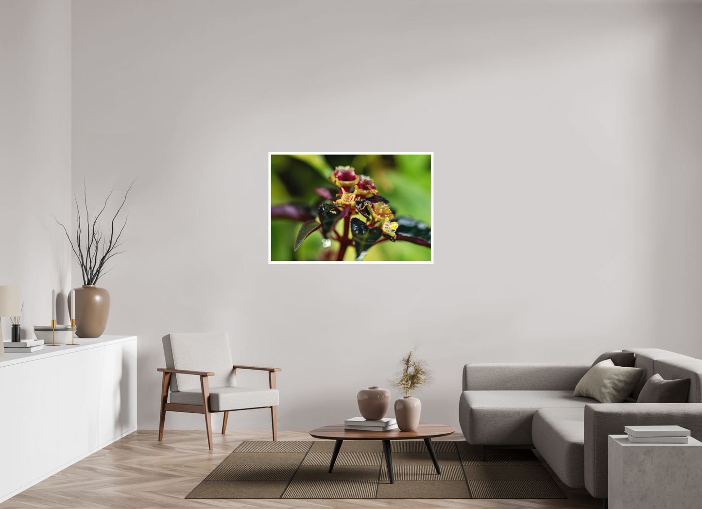 120 x 80 cm, Fine Art Print – mit Rand (matt) Sarcopyramis sp. Sumatra – Edition No. 01