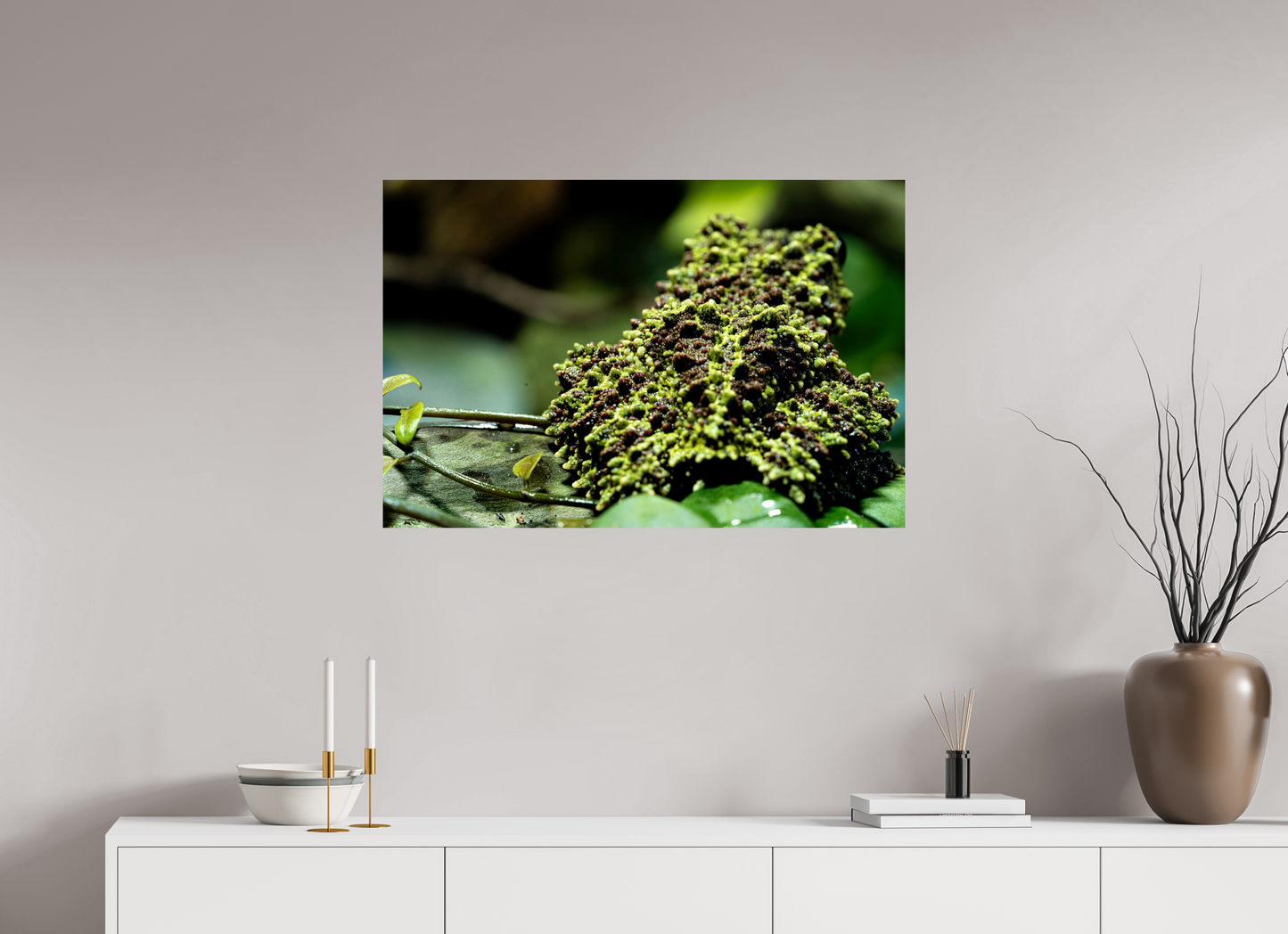 90 x 60 cm, Fine Art Print – Randlos (glanz) Theloderma corticale – Edition No. 02