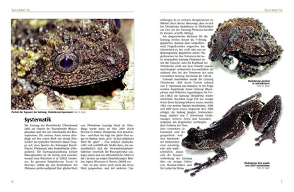 Moss frogs - The genus Theloderma 