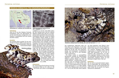 Moss frogs - The genus Theloderma 