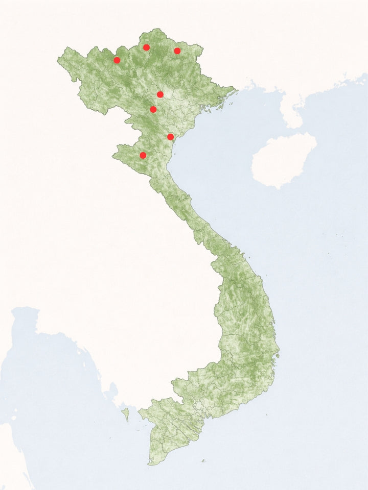 Verbreitungskarte Theloderma Corticale