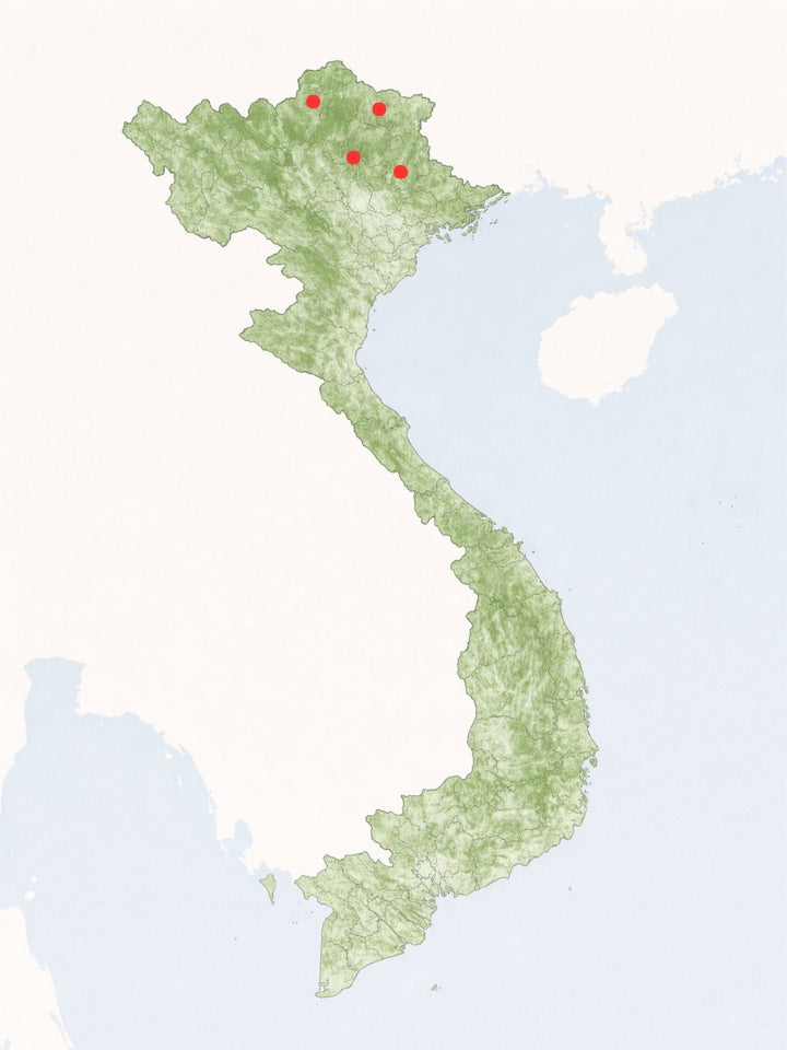 Verbreitungskarte Theloderma Gordoni