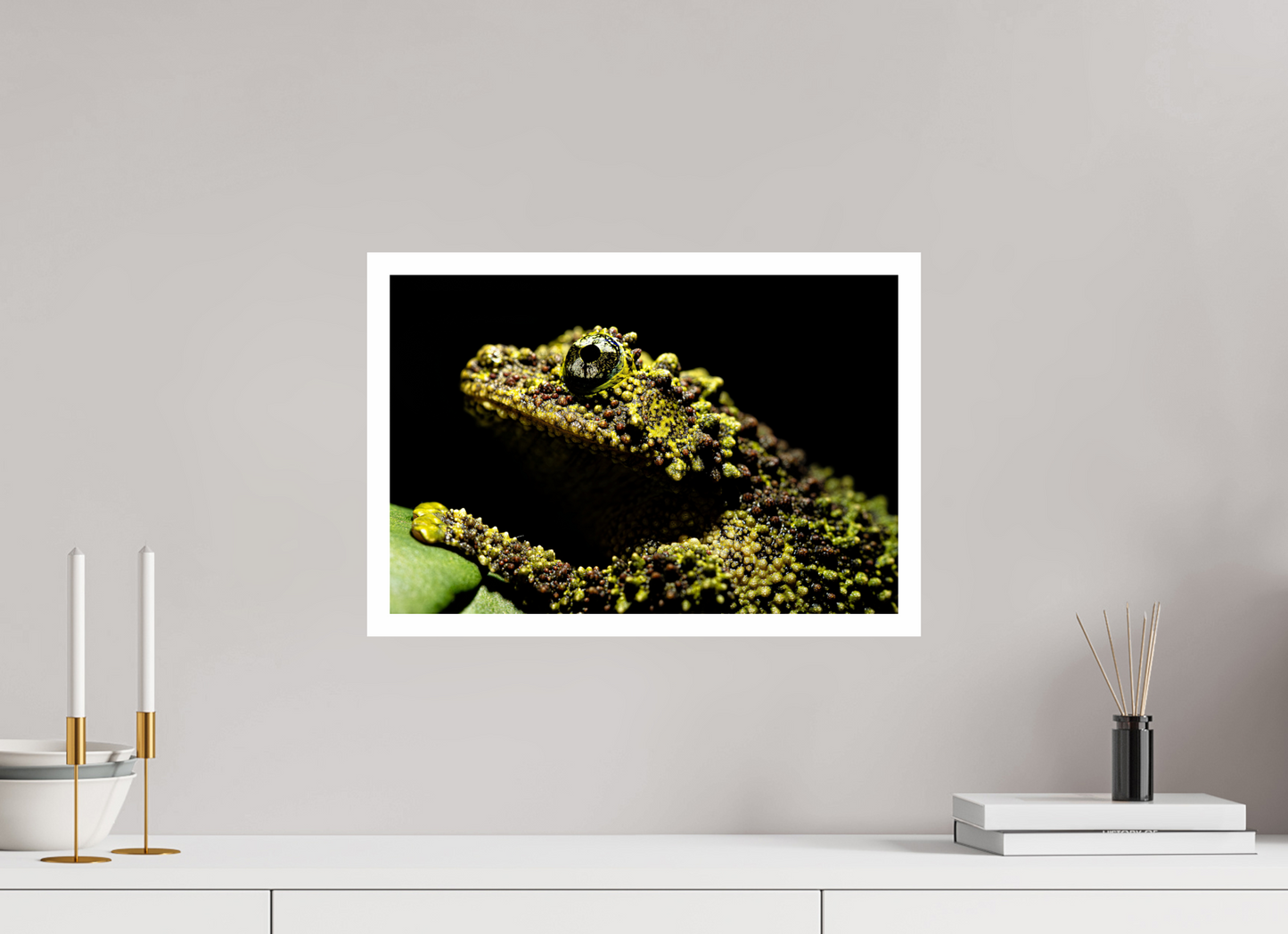 45 x 30 cm, Fine Art Print – mit Rand (glanz) Theloderma corticale – Edition No. 01