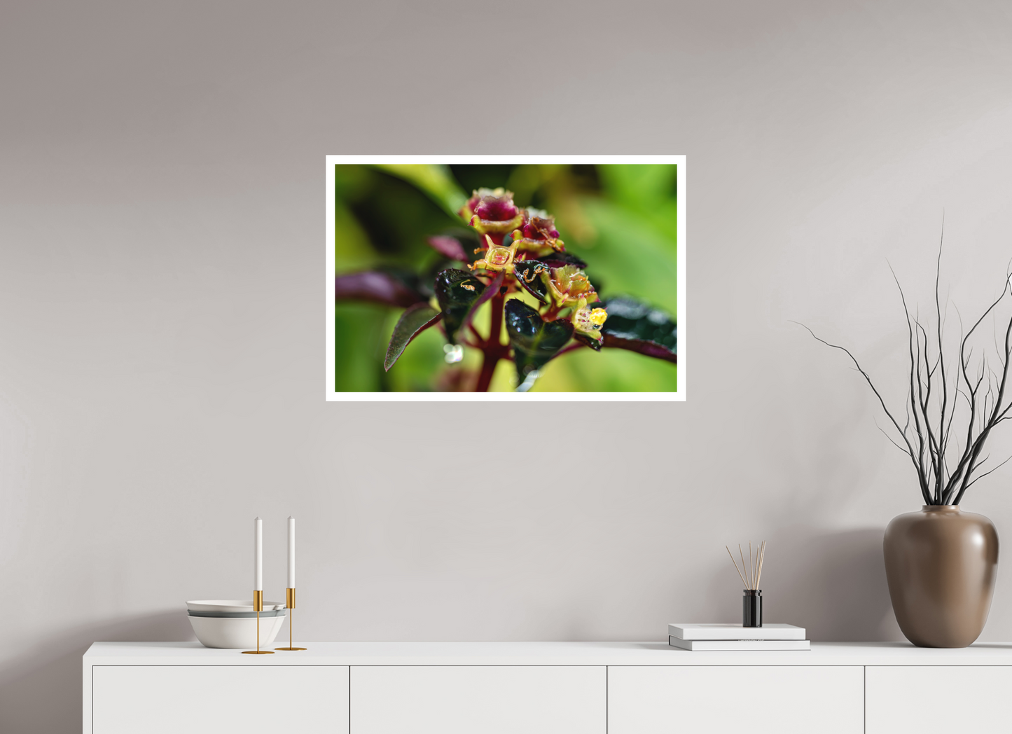 75 x 50 cm, Fine Art Print – Mit Weißrand Sarcopyramis sp. Sumatra – Edition No. 01
