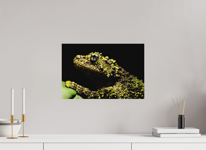 45 x 30 cm, Fine Art auf Alu-Dibond Theloderma corticale – Edition No. 01