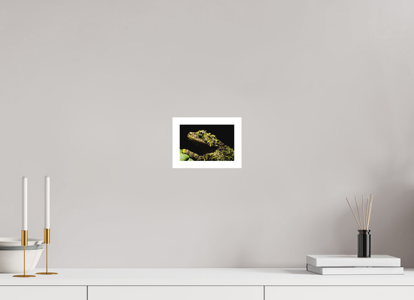 15 x 10 cm, Fine Art Print – Mit Weißrand Theloderma corticale – Edition No. 01