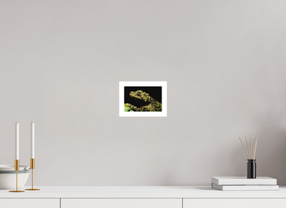 15 x 10 cm, Fine Art Print – Mit Weißrand Theloderma corticale – Edition No. 01