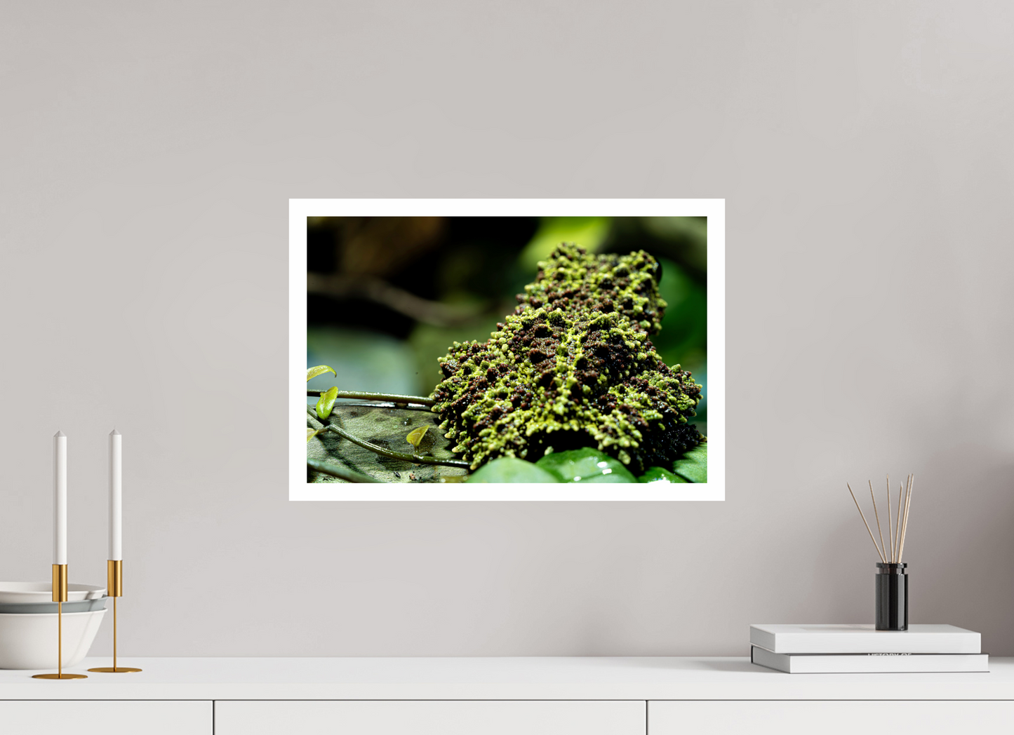 45 x 30 cm, Fine Art Print – mit Rand (glanz) Theloderma corticale – Edition No. 02