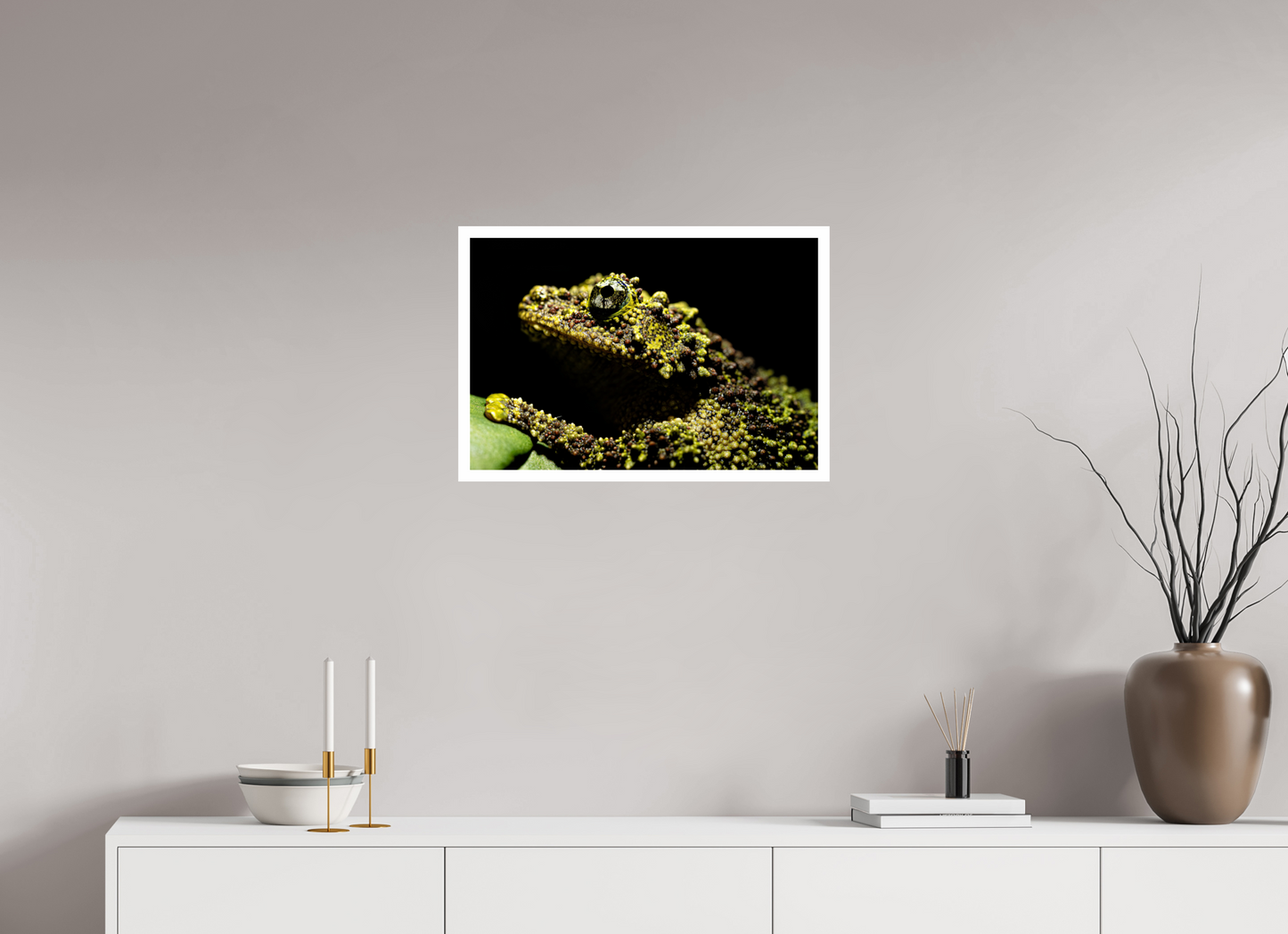 60 x 40 cm, Fine Art Print – mit Rand (glanz) Theloderma corticale – Edition No. 01