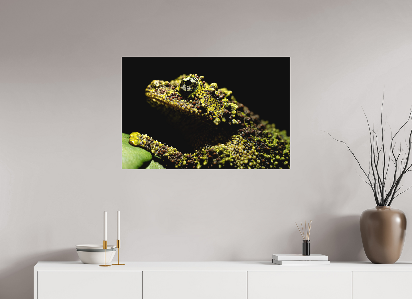 90 x 60 cm, Fine Art hinter Acrylglas Theloderma corticale – Edition No. 01