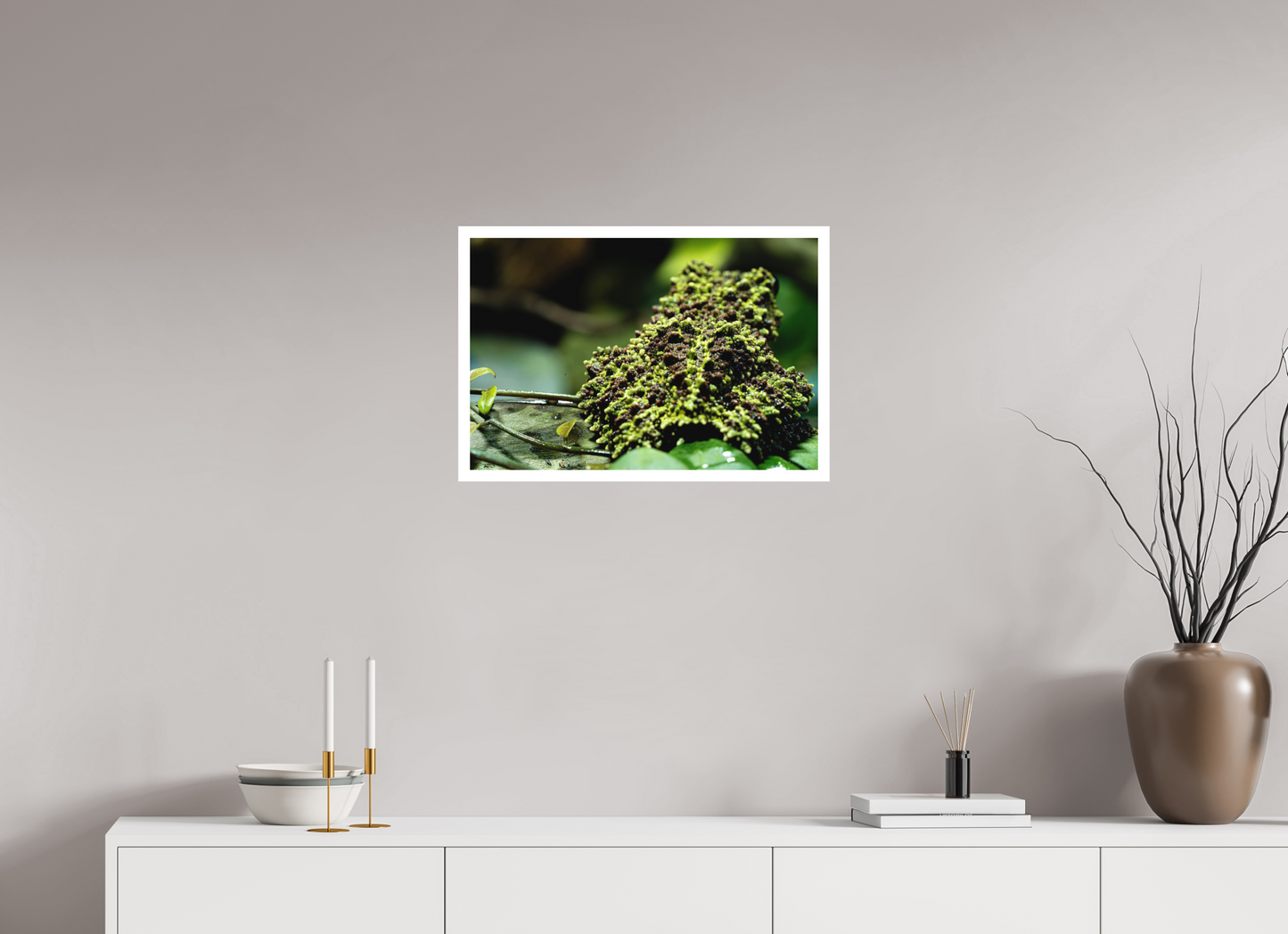 60 x 40 cm, Fine Art Print – mit Rand (matt) Theloderma corticale – Edition No. 02