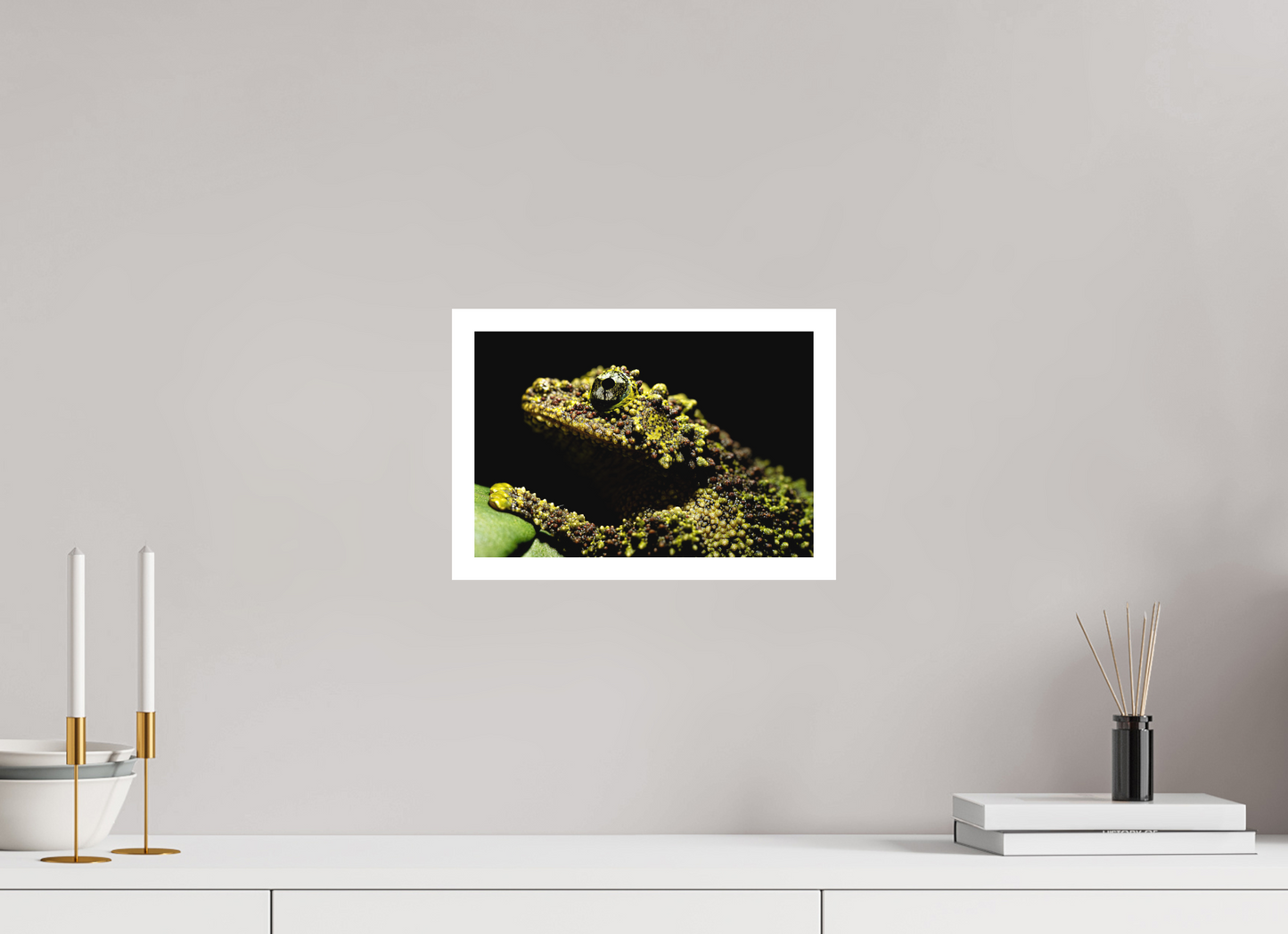 30 x 20 cm, Fine Art Print – Mit Weißrand Theloderma corticale – Edition No. 01