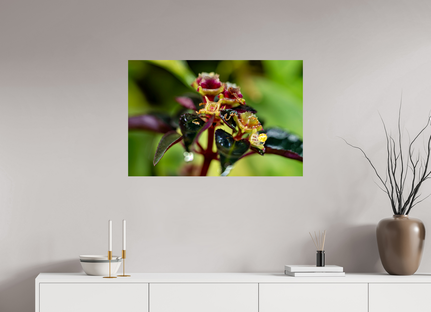 90 x 60 cm, Fine Art Print – Randlos (glanz) Sarcopyramis sp. Sumatra – Edition No. 01