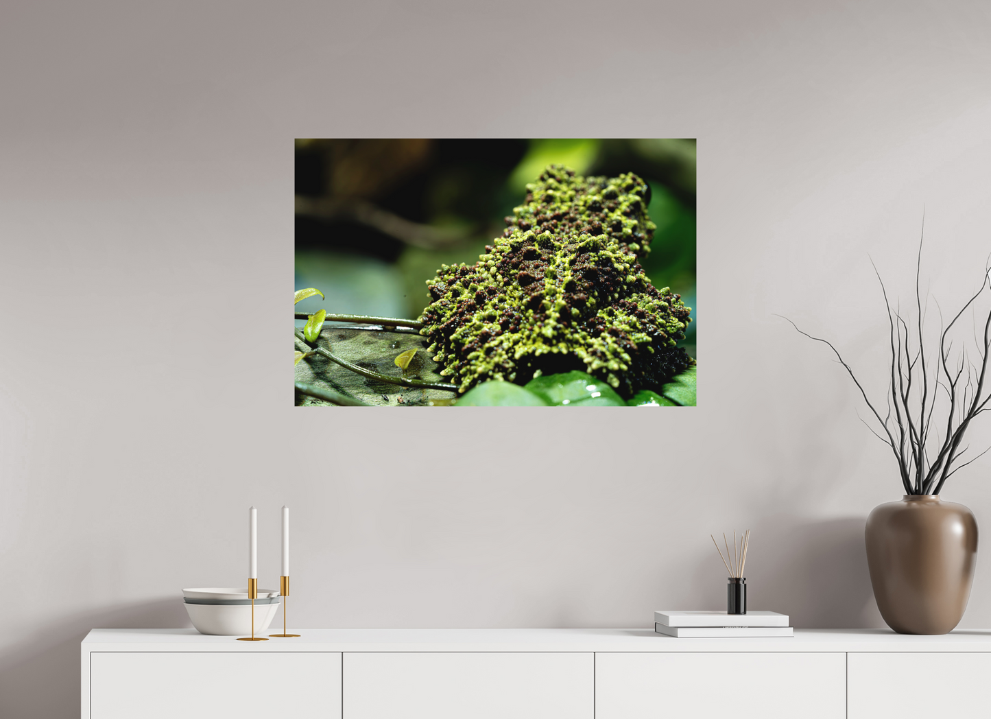 90 x 60 cm, Fine Art Print – Randlos (matt) Theloderma corticale – Edition No. 02