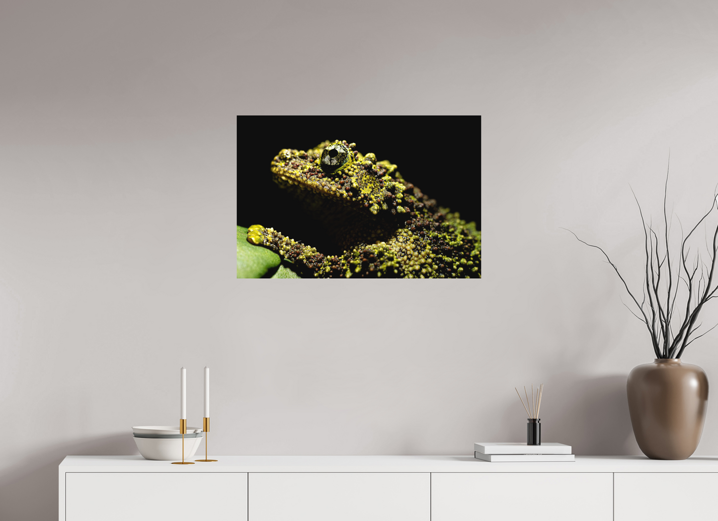 75 x 50 cm, Fine Art auf Alu-Dibond Theloderma corticale – Edition No. 01
