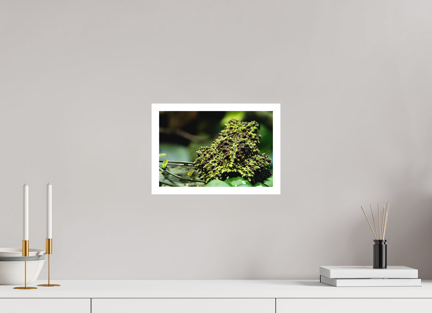 30 x 20 cm, Fine Art Print – mit Rand (matt) Theloderma corticale – Edition No. 02