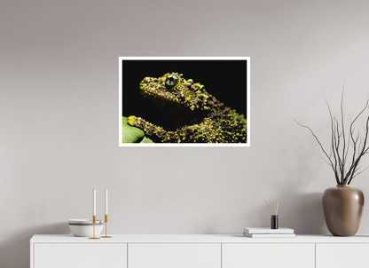 75 x 50 cm, Fine Art Print – Mit Weißrand Theloderma corticale – Edition No. 01