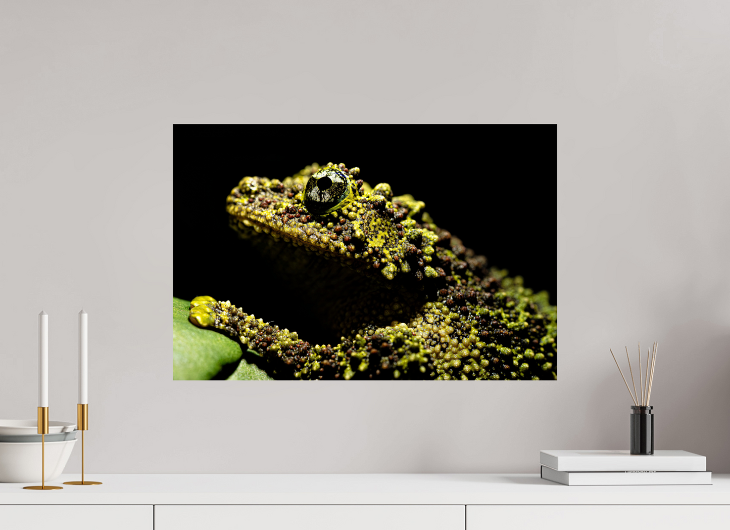 60 x 40 cm, Fine Art Print – Randlos (glanz) Theloderma corticale – Edition No. 01