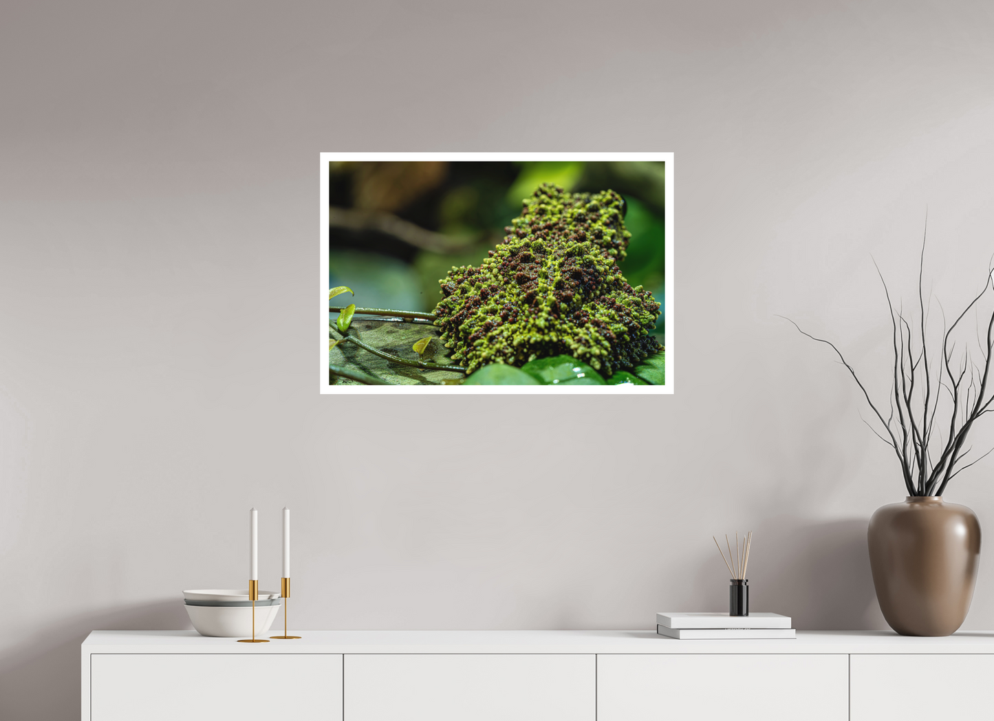 75 x 50 cm, Fine Art Print – Mit Weißrand Theloderma corticale – Edition No. 02